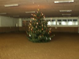 2012 Juletræspyntning